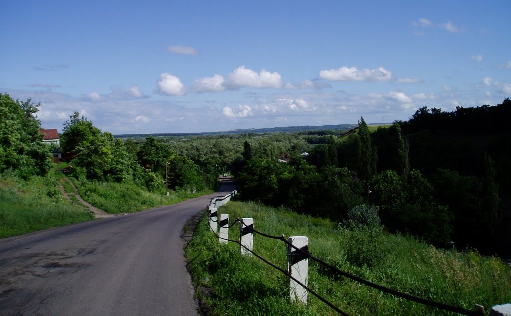 дорога на Поворино