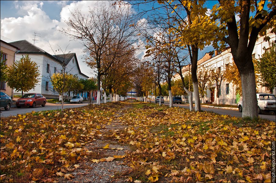 Золотая аллея