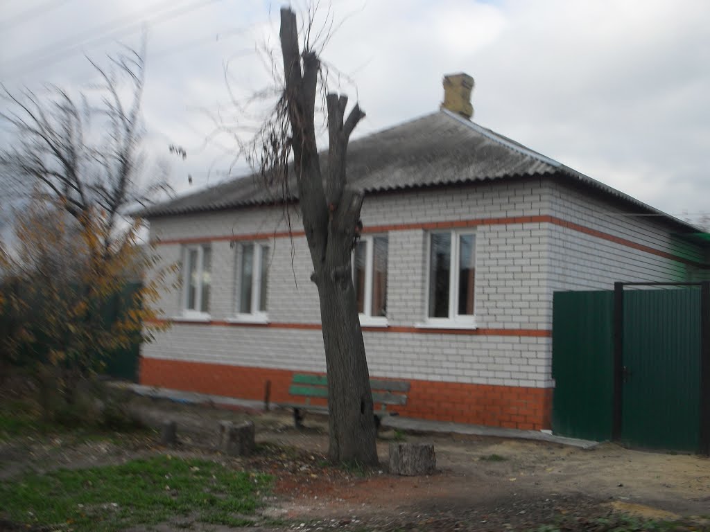Дом в Острогожске...