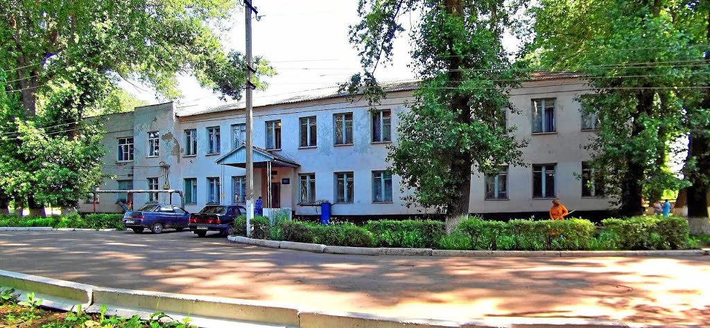 Panino . «Панинский Роддом»