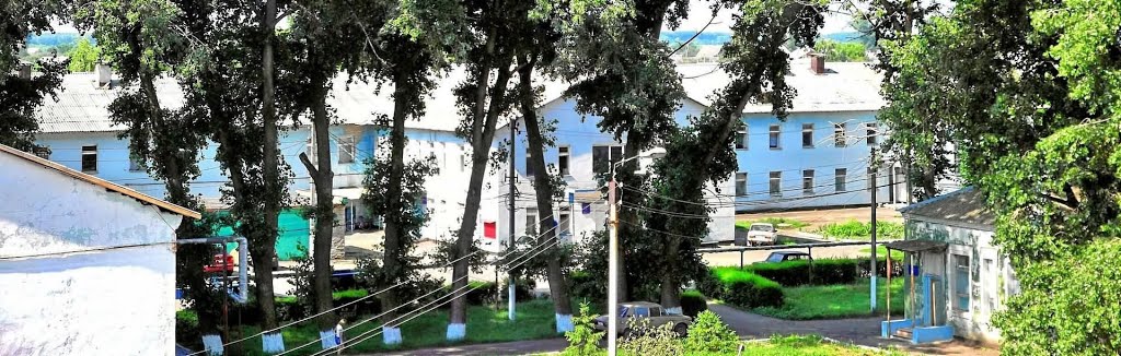Panino .МБУЗ «Панинская ЦРБ»