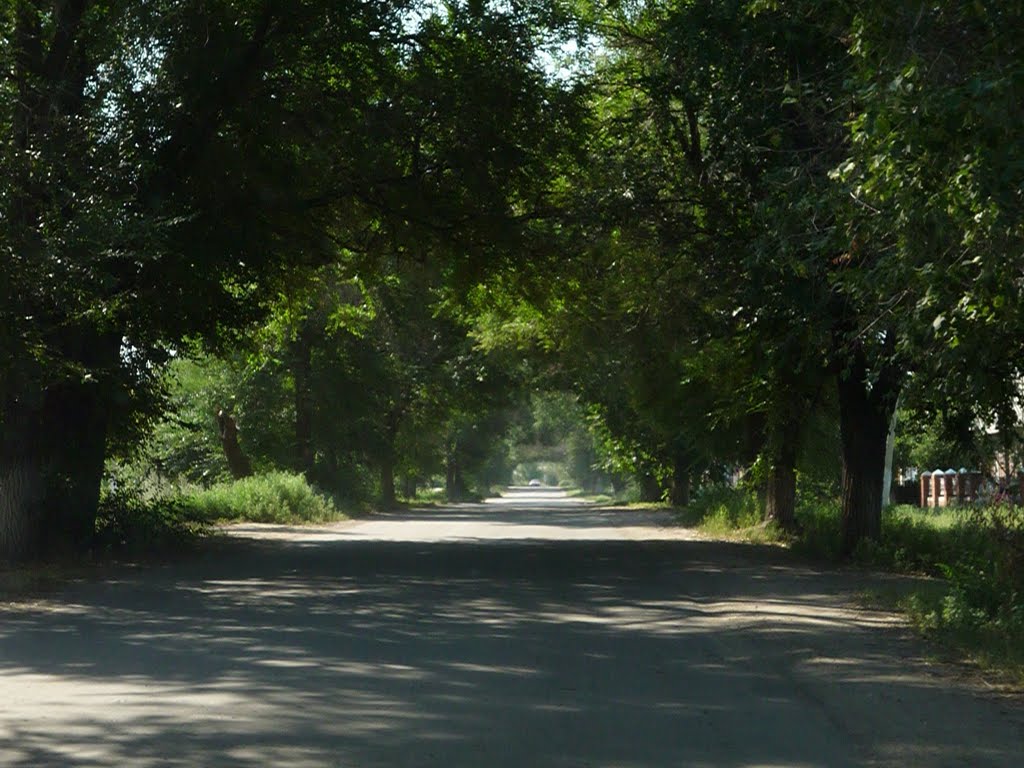 Поворино улица