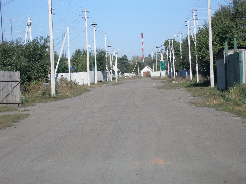 Улица Свободы