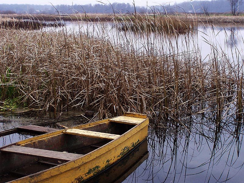 River Voronezh near Ramon