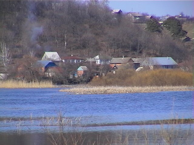 Разлив реки Воронеж