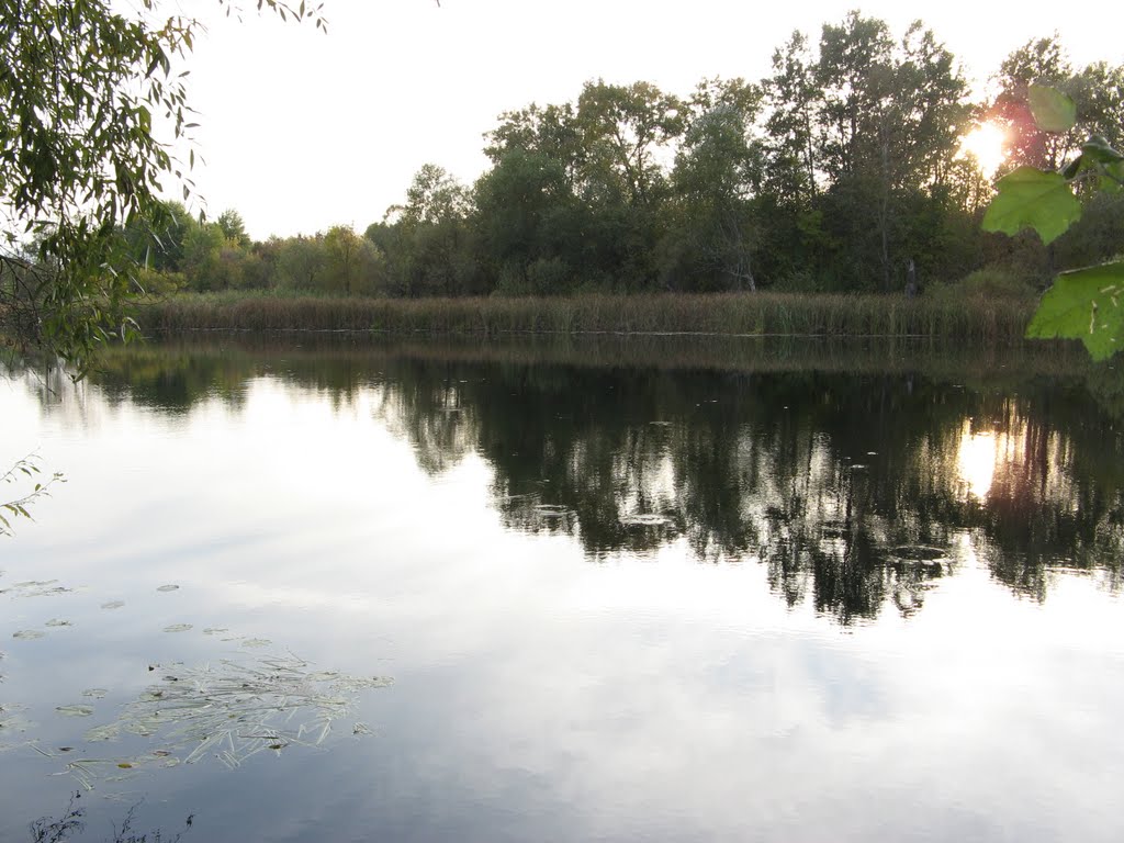 река Воронеж   . Voronezh river
