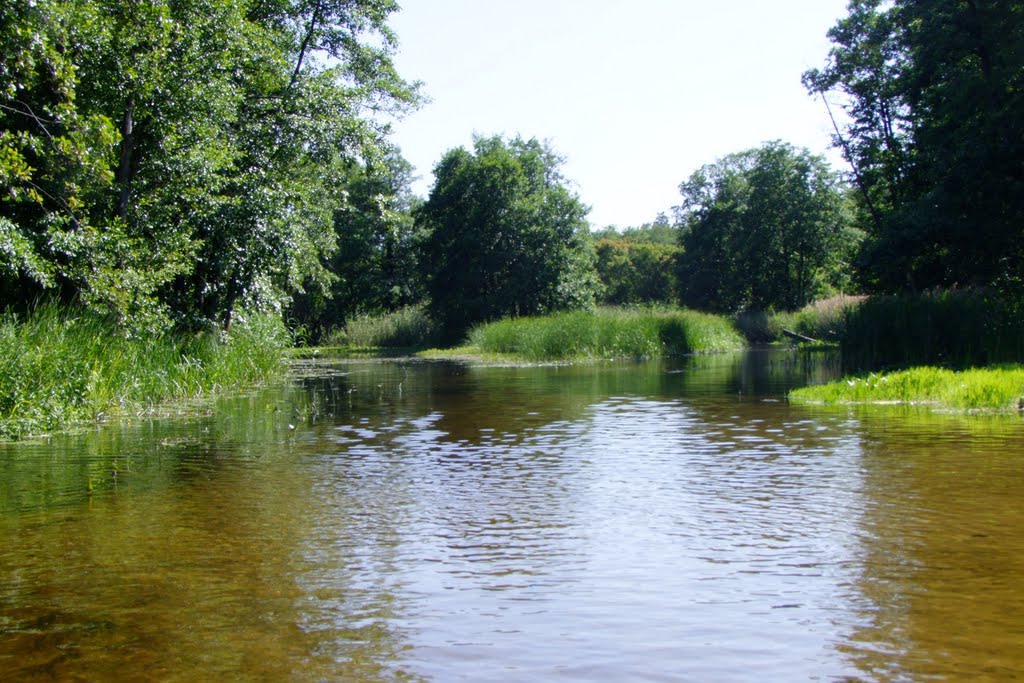 on the Voronezh River