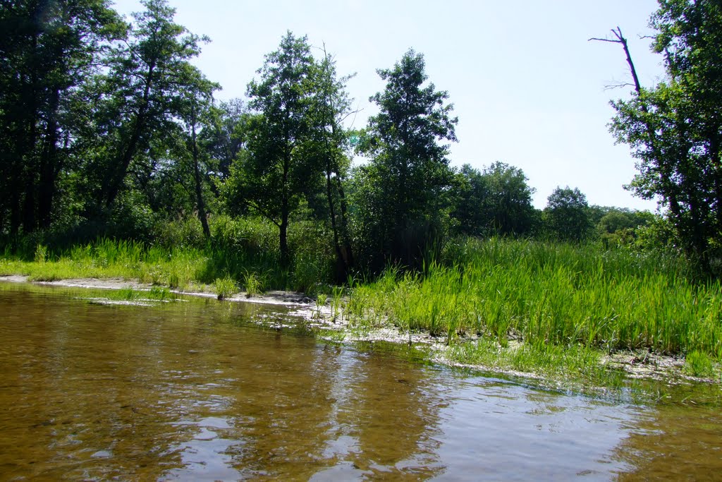 on the Voronezh River