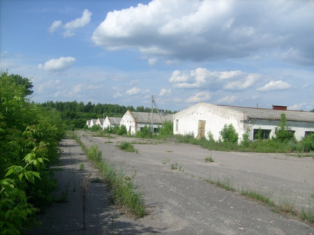 Сосновое