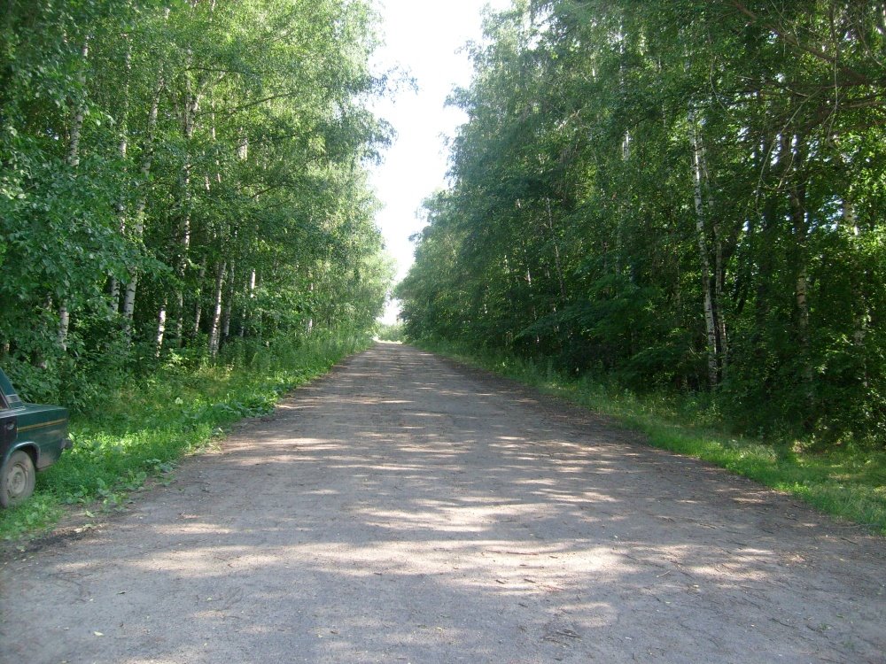 Выезд из Соснового