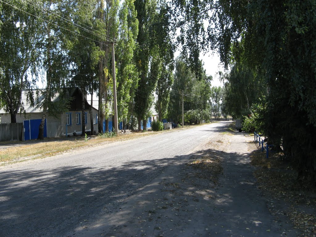 Rural street     . Улица село Репьевка