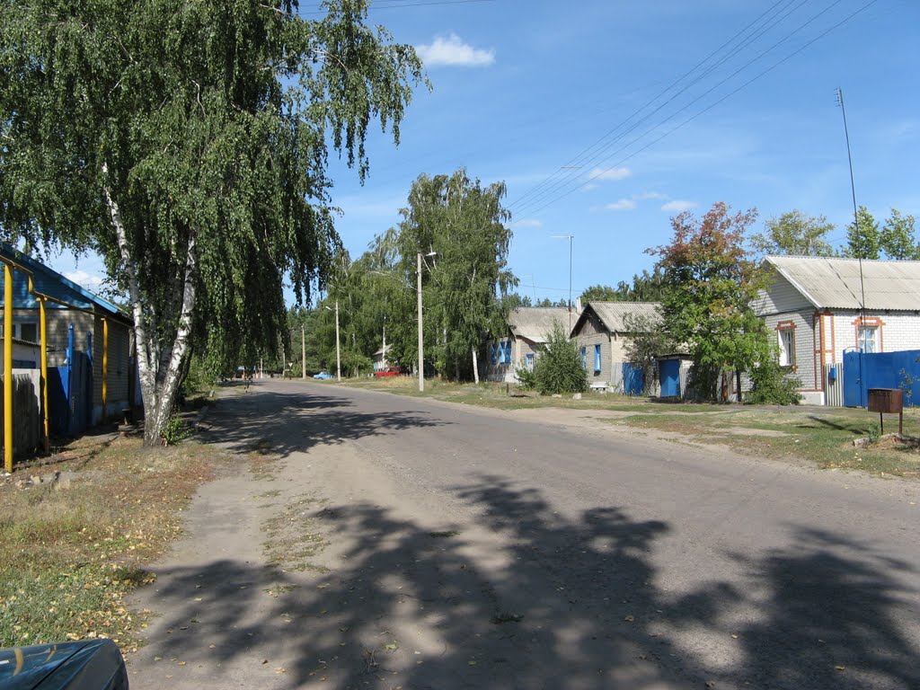 Rural street     . Улица село Репьевка