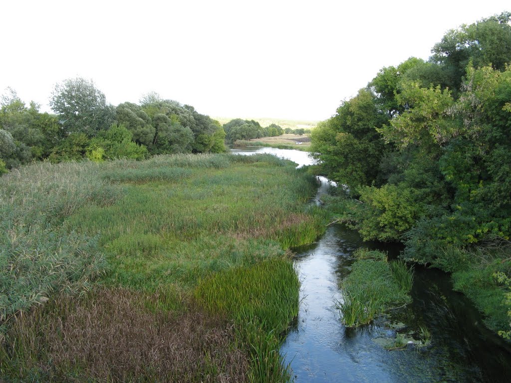Река Потудань .     river Potudan