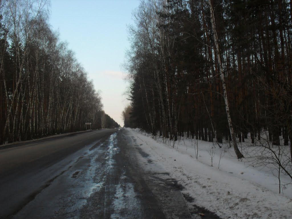 По дороге от Репьевки к Солдатскому...