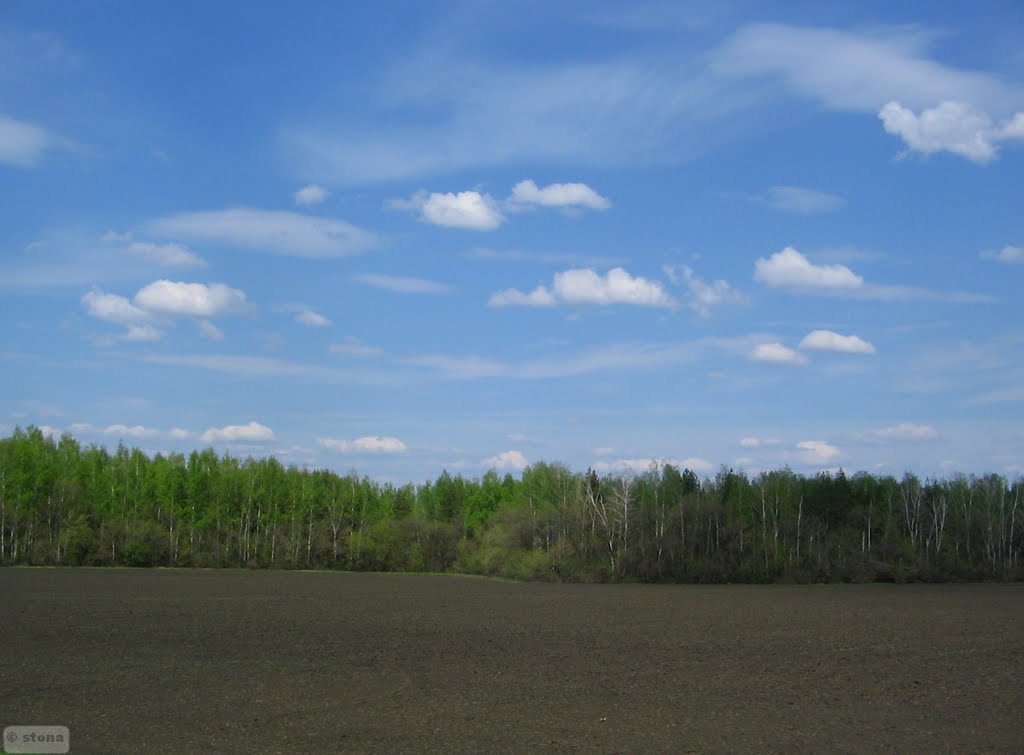 Repevka. Voronezh Region. Russia