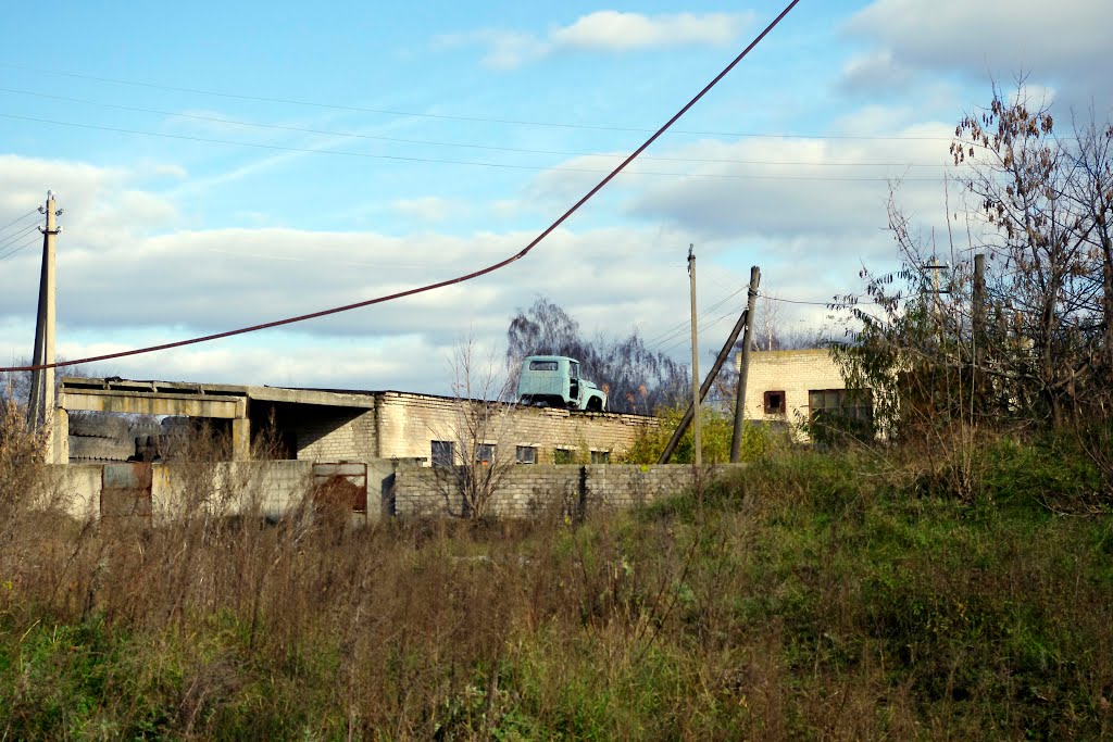 милиорация 2013