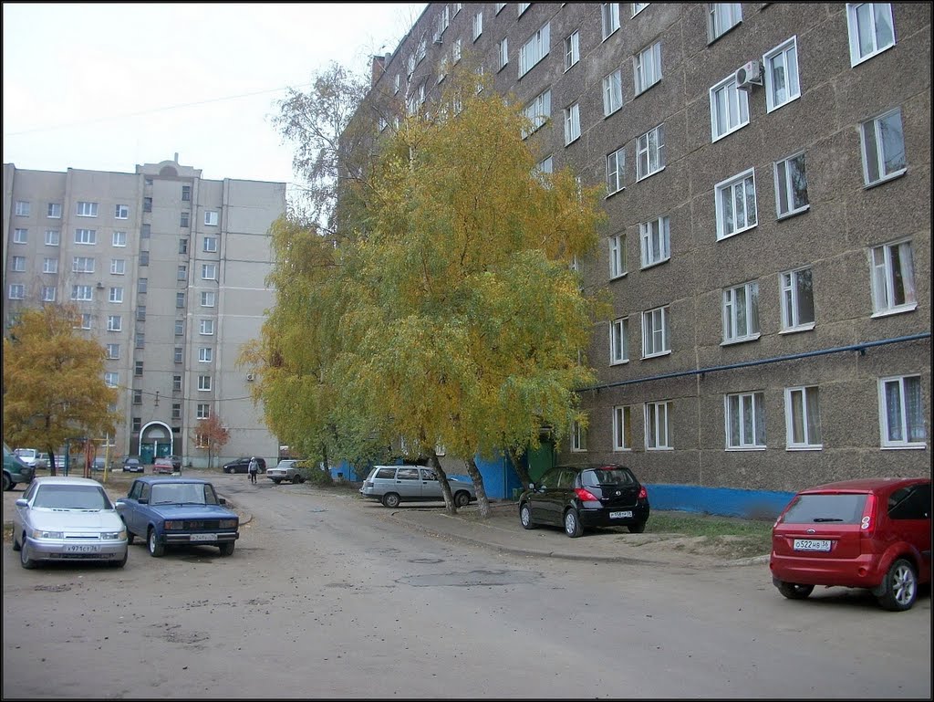 Россошь, Во дворе по ул. Простеева, 19.