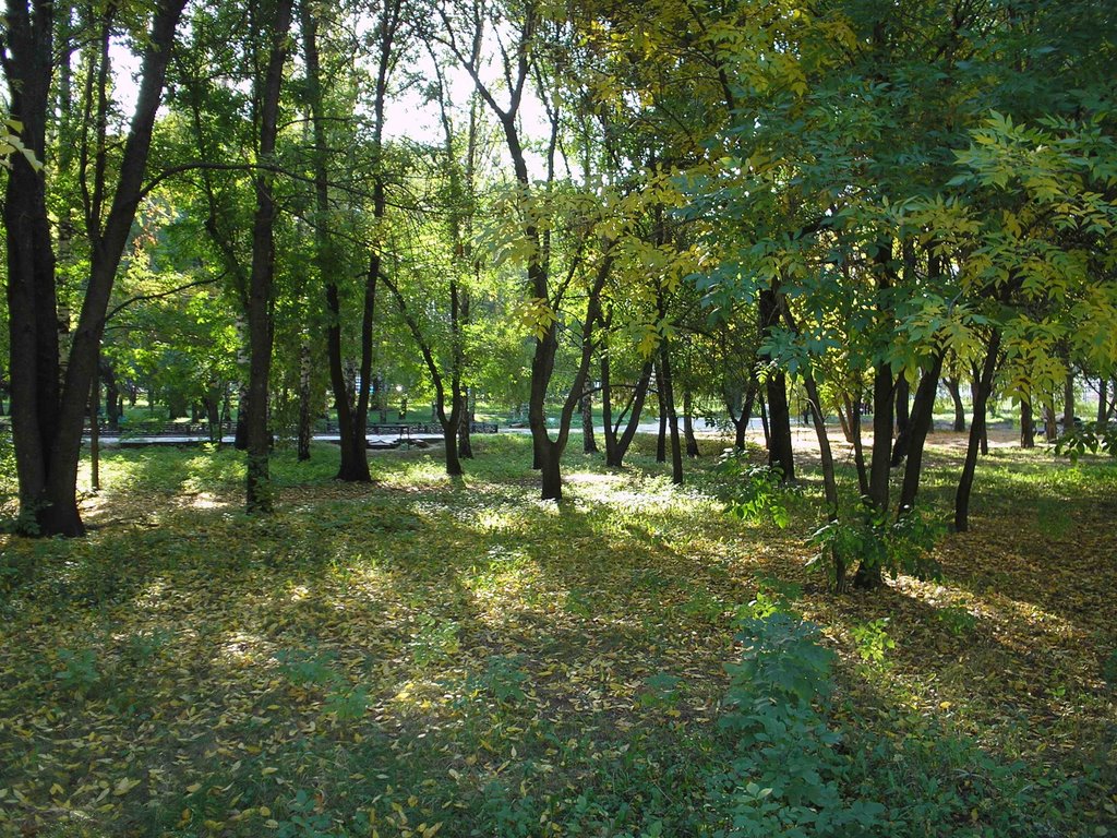 Park "Yubileiniy"