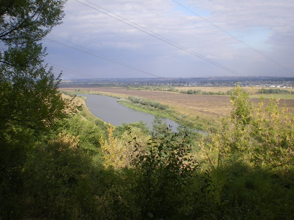 дон