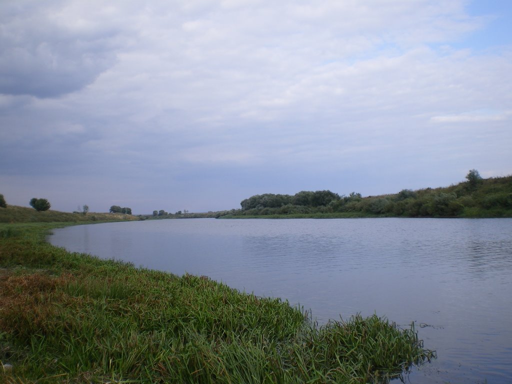 дон