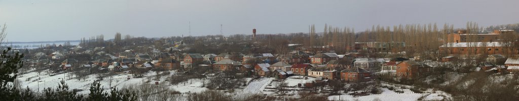 Берёзки