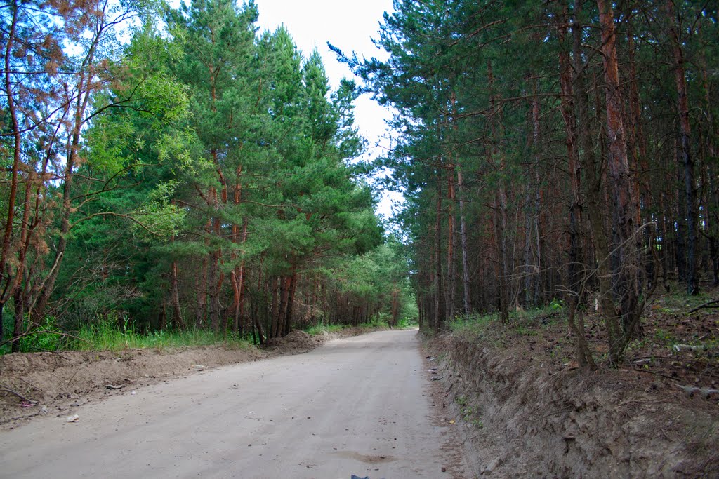 дорога на Новый поселок