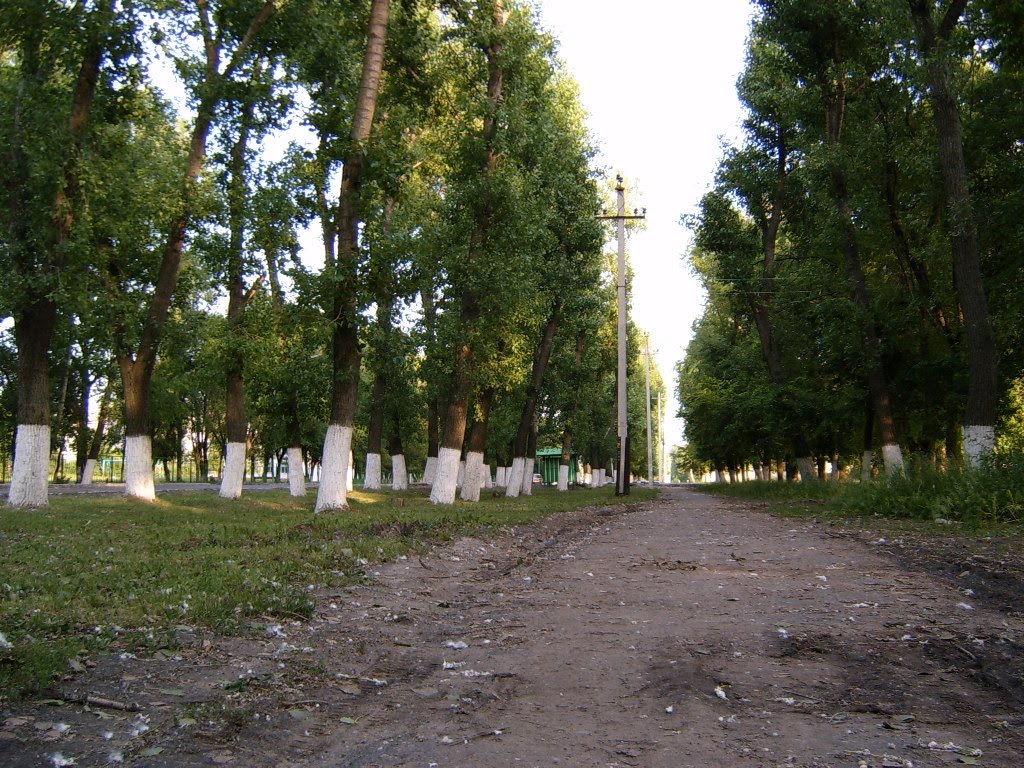 в 2005-ом... ул. 25 лет октября