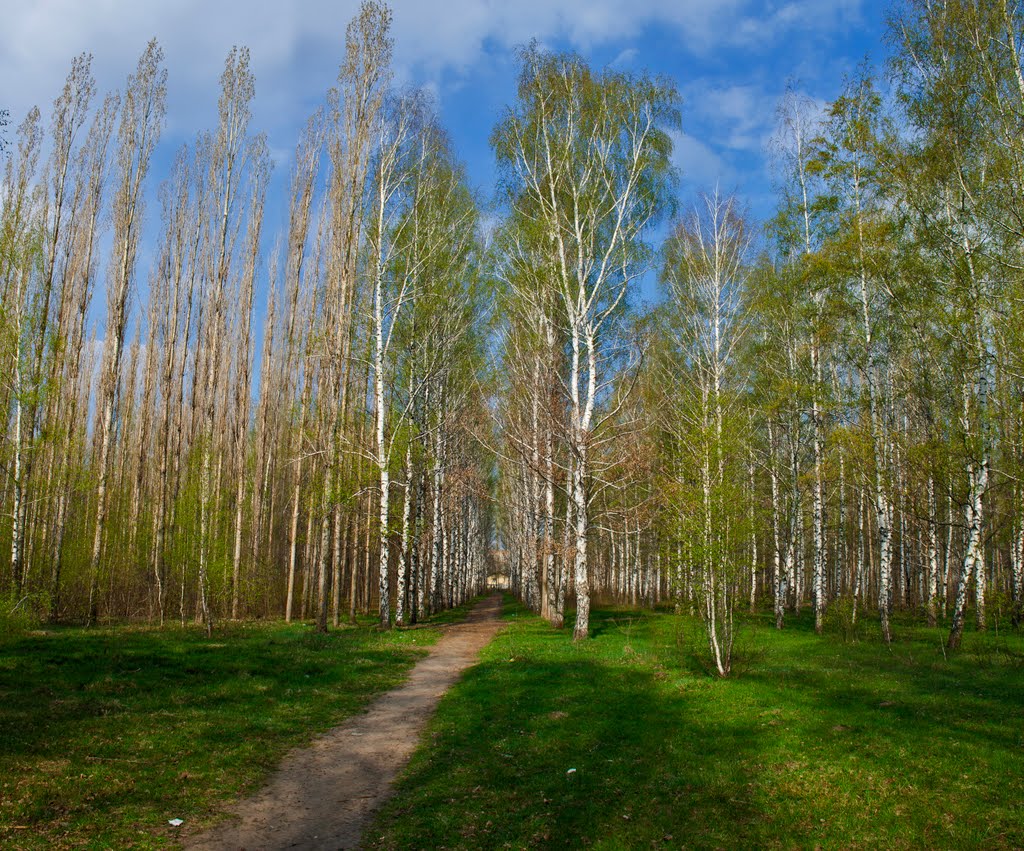 полянка