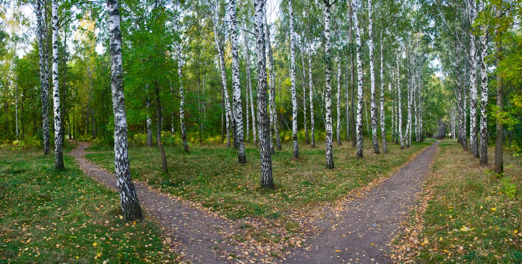 березовый перекресток