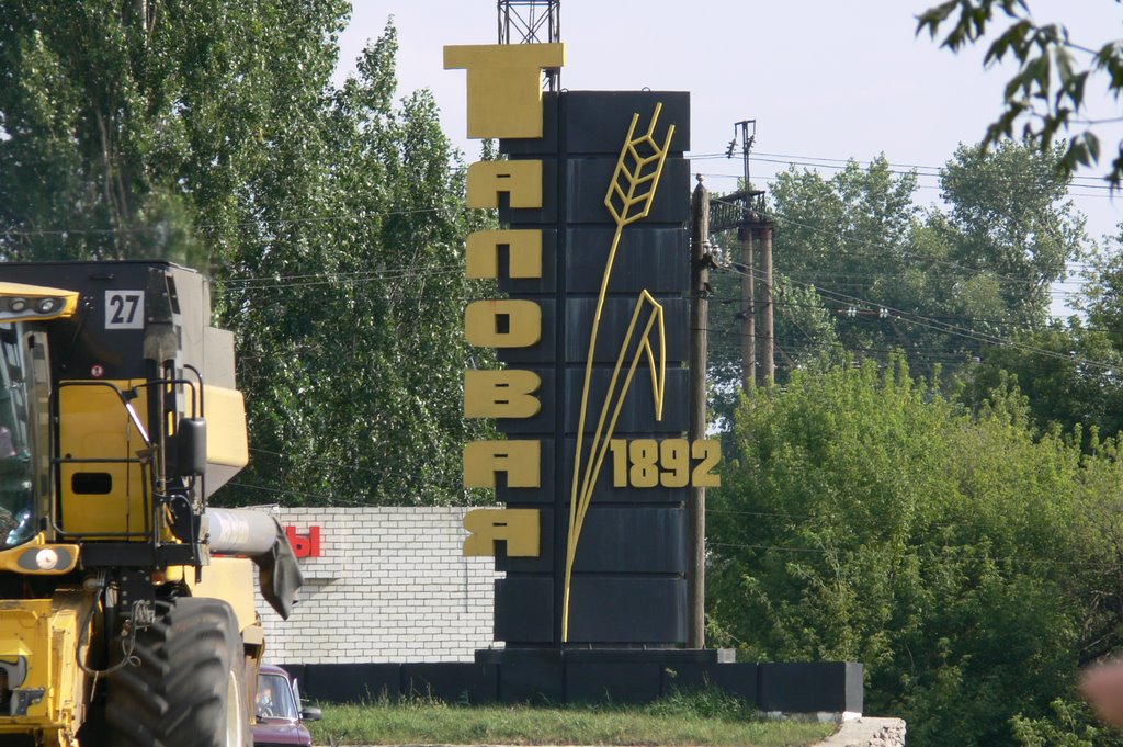 Стелла