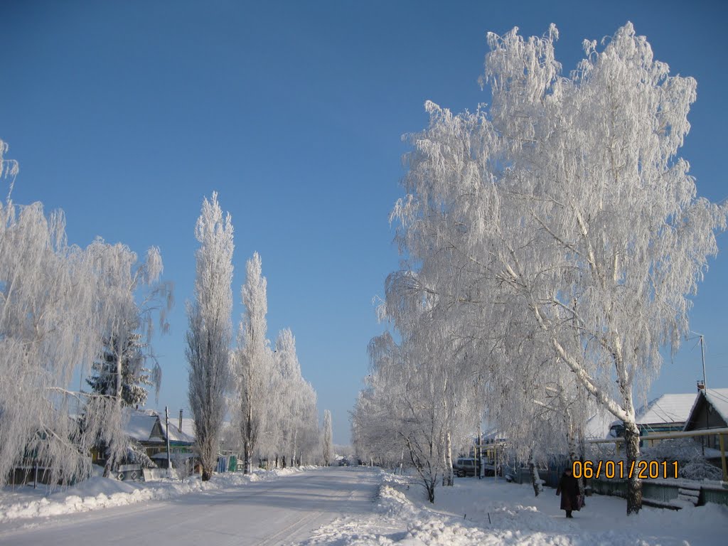 ул. Пролетарская 246