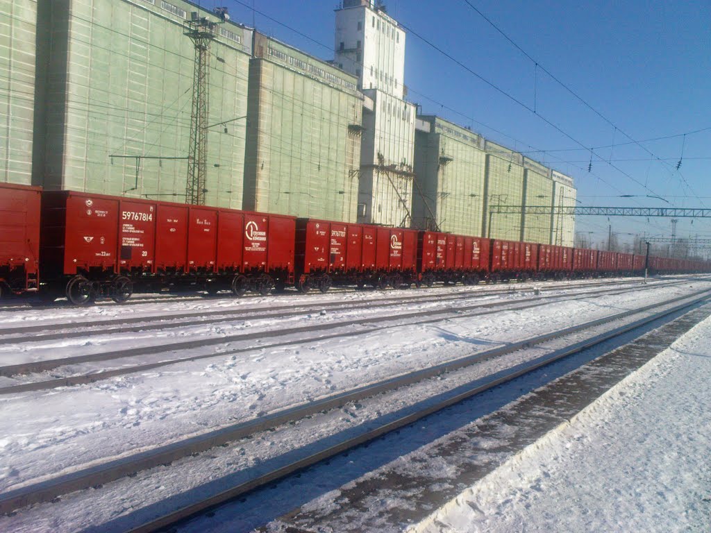 Новенькие вагоны на станции Таловая