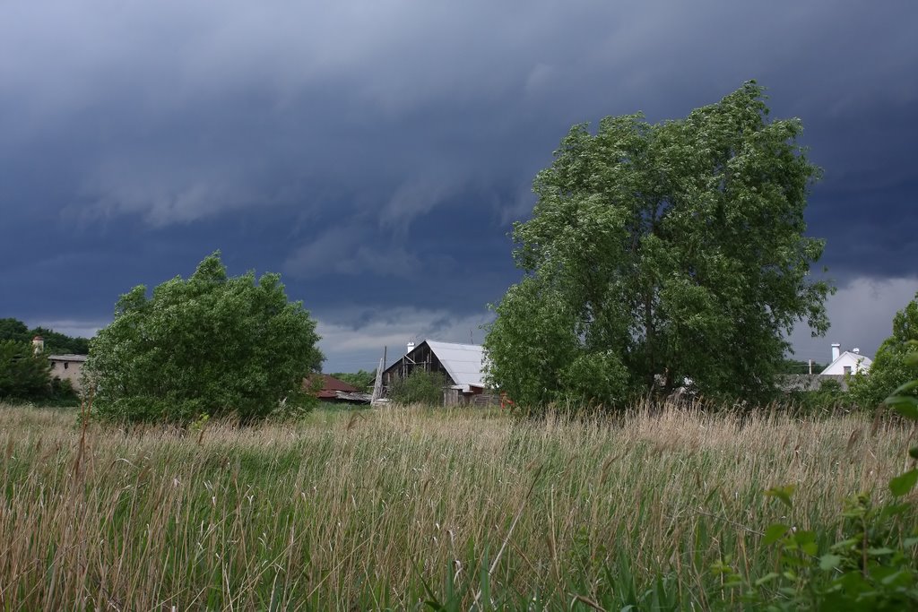 Thundercloud    Грозовая туча