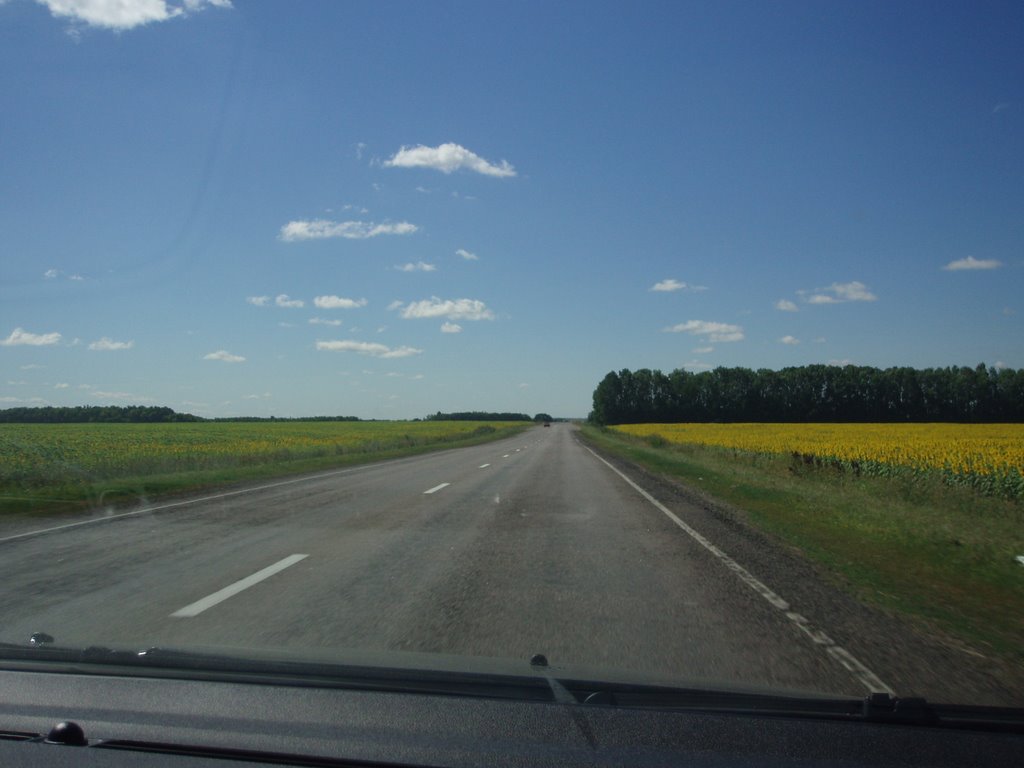 R-194 rd. Some places towards the South(07.08.2008)