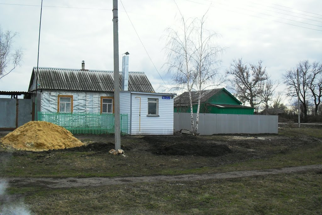 Дом в Дмитриевке рядом с магазином...
