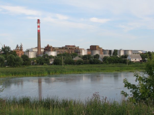 Сахарный завод