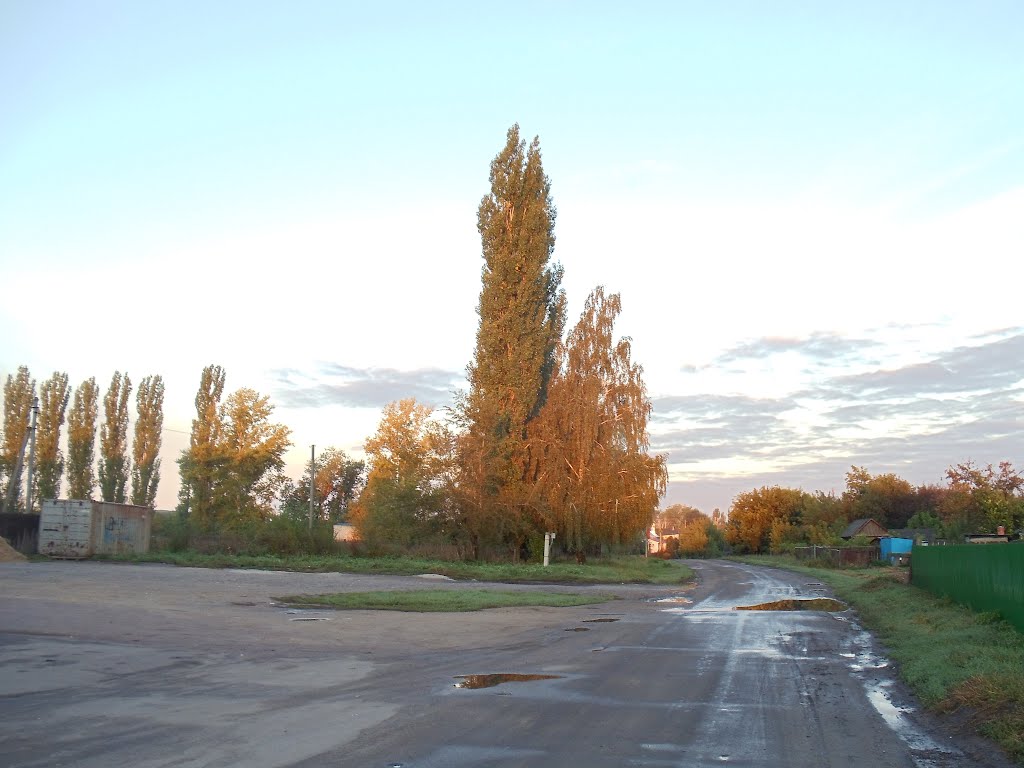 В сентябре