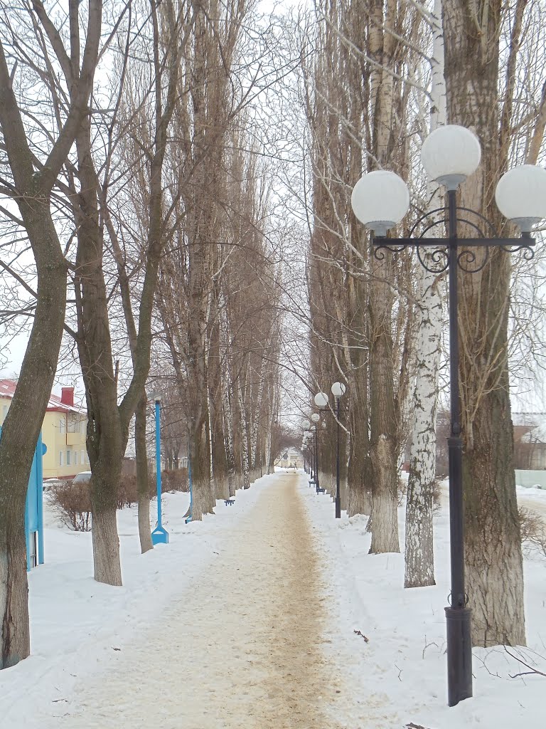Аллея
