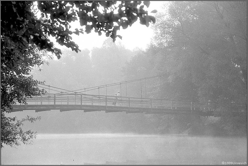 Suspension bridge