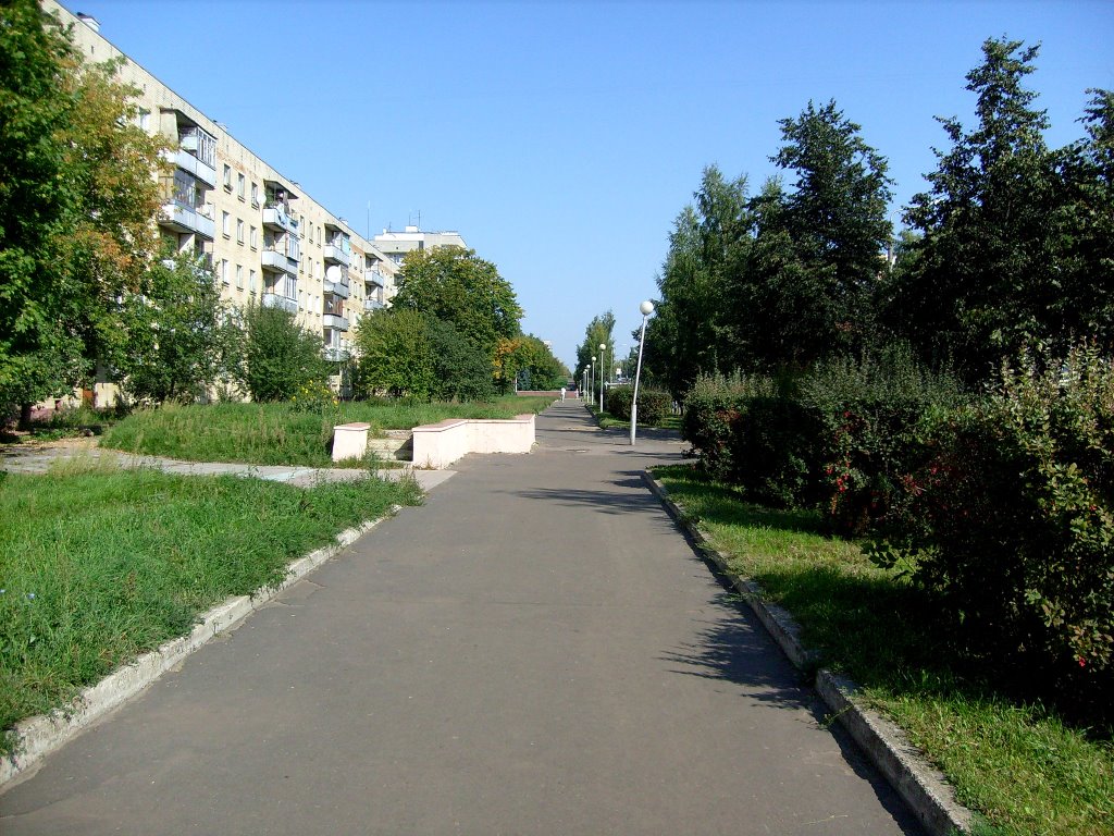 По ул. Силкина
