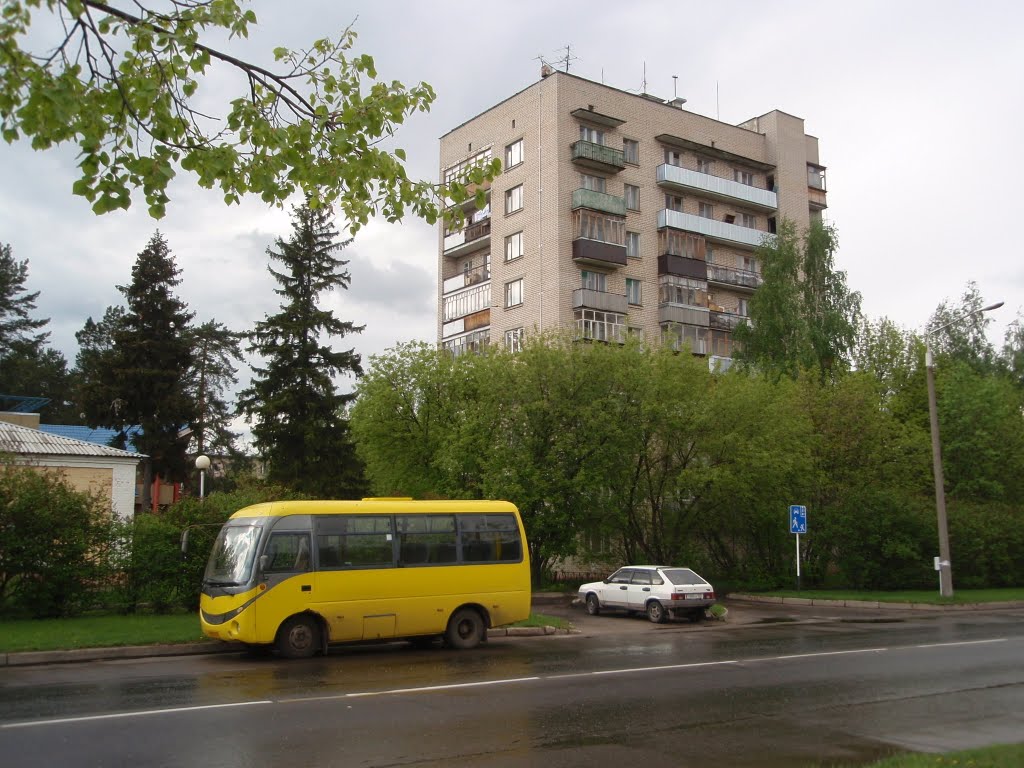 Саров, дом 43 по ул. Силкина