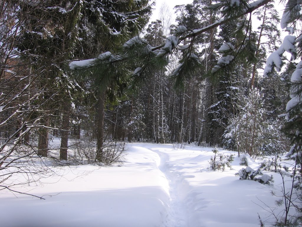 Снежная тропинка