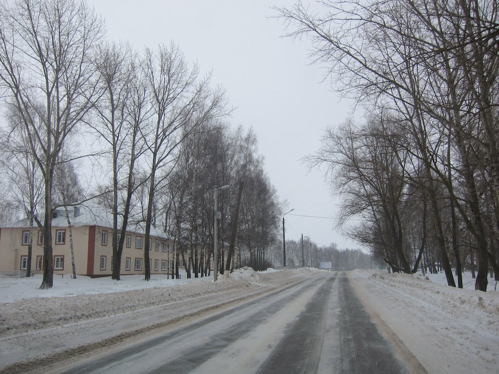 Street in Ardatov