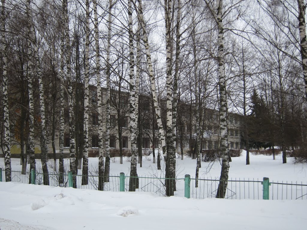 School