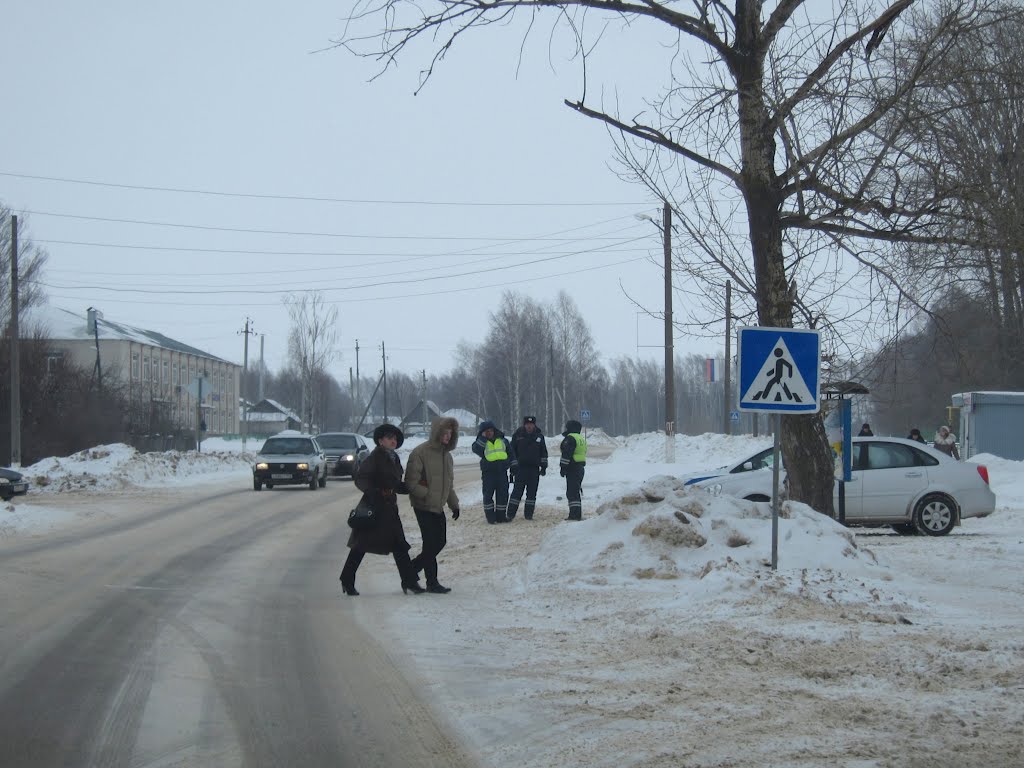 Zebra in Ardatov