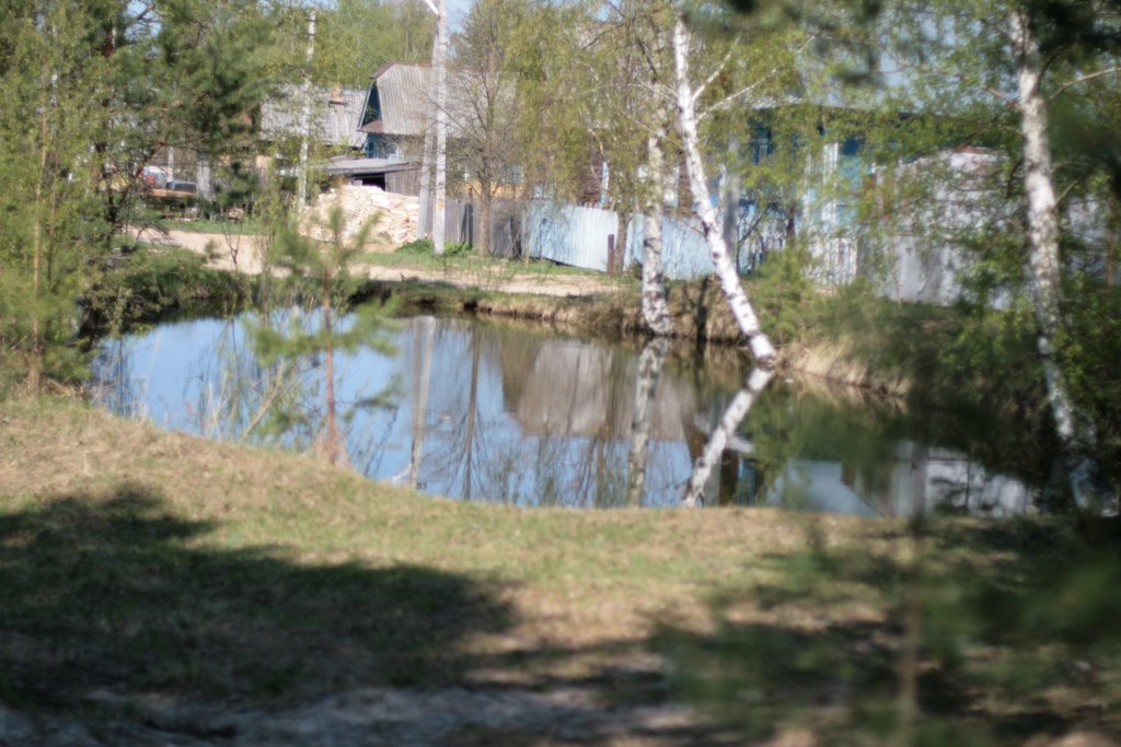 Пруд в Арье