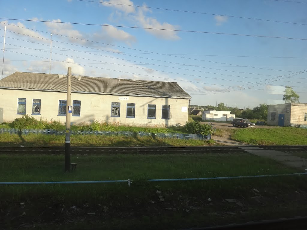 Станция Арья