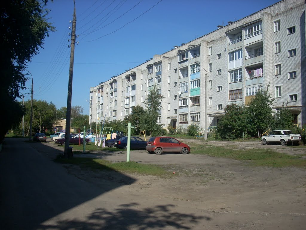 дом 4, ул. Лесопильная, г. Балахна