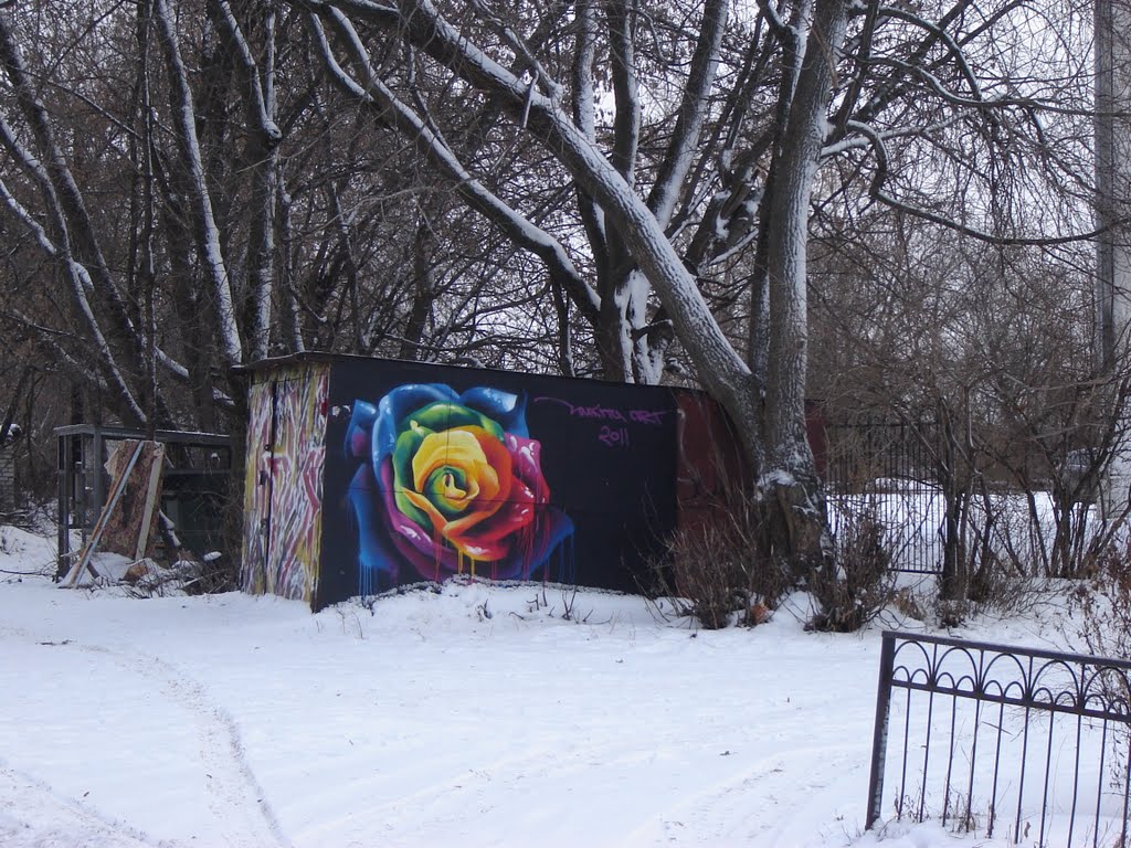 Цветок зимний