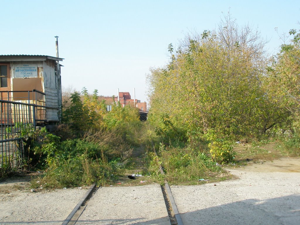 Zhulebino